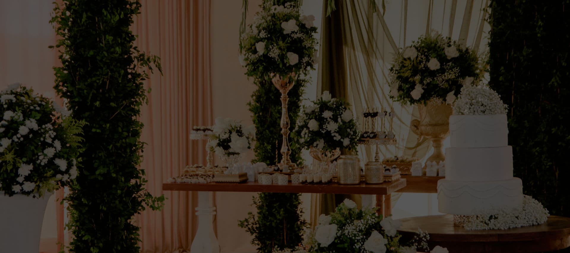 Fondo de vivi